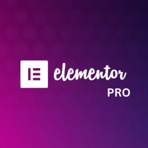 Elementor pro page builder